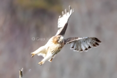 Take Off