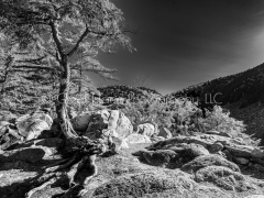 White Rocks