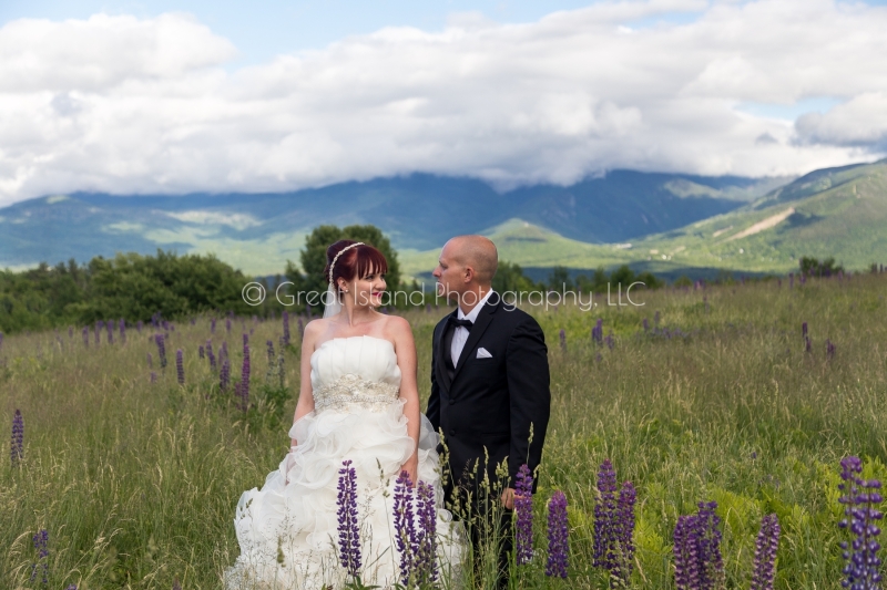 White Mountain Wedding